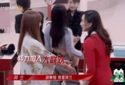 蓉姐爆料娱乐圈视频播放,娱乐圈幕后视频播放背后的惊人真相