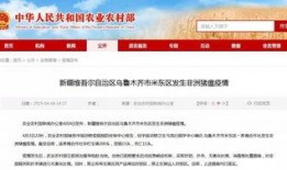 米东区爆料最新新闻事件,最新进展及影响概述